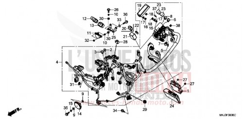 FAISCEAU DES FILS CB1000RAL de 2020